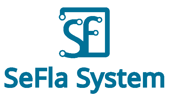 Modernizzazione IT per una Software House
